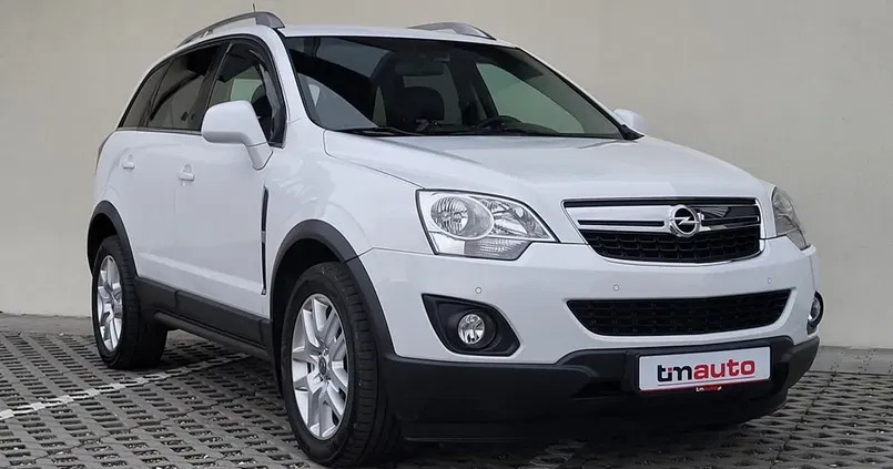 brześć kujawski Opel Antara cena 42900 przebieg: 124000, rok produkcji 2012 z Brześć Kujawski